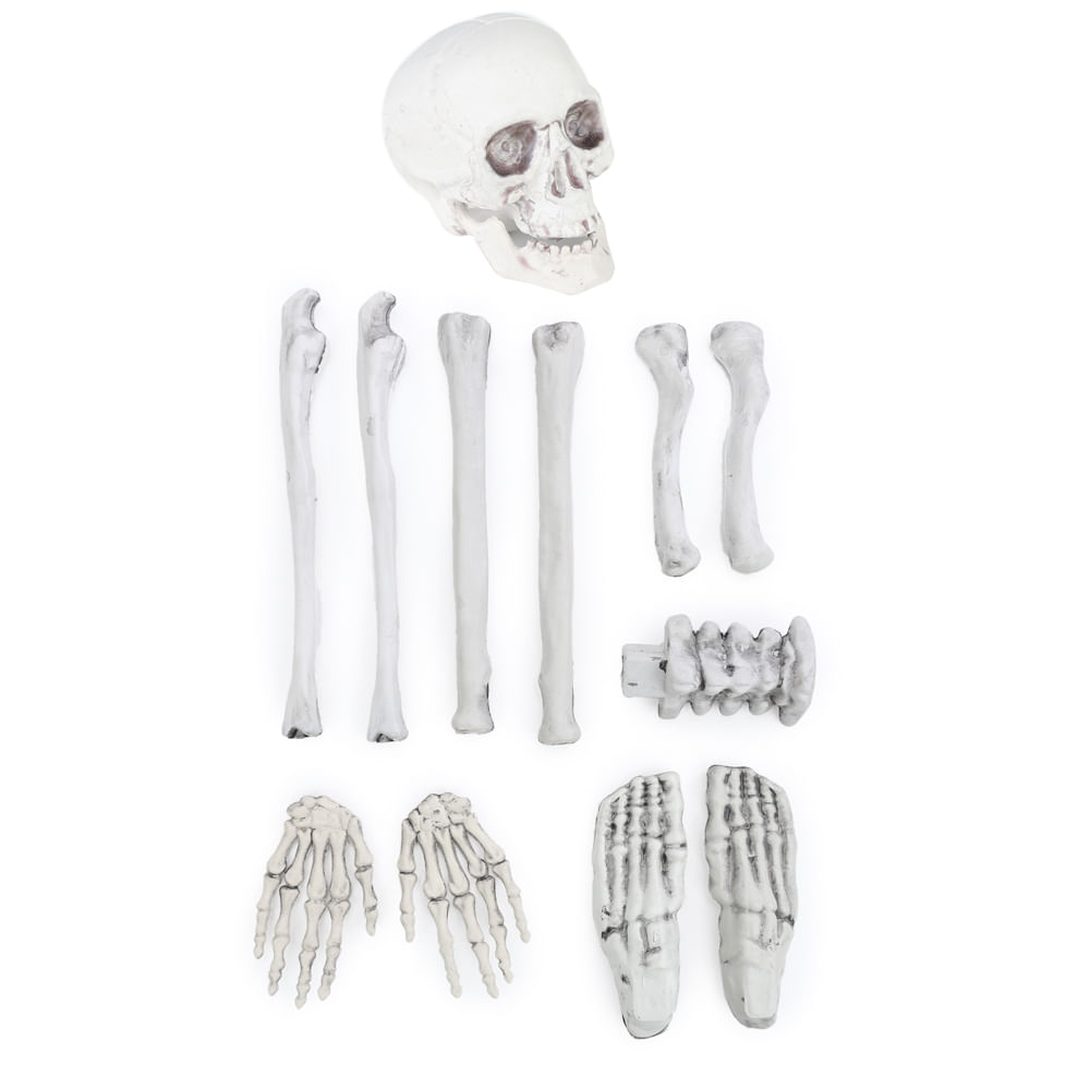 Kit Mini Esqueleto Cromus – 12 Peças